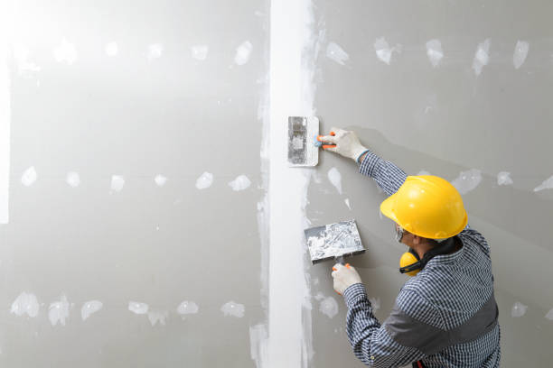 Reliable East Palo Alto, CA Painting & Drywall Installation Solutions